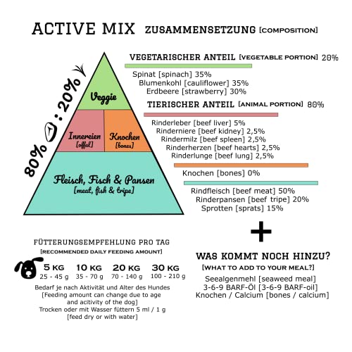 PAMICO Trockenbarf All in One Active mit Rind, Fisch, Spinat, Blumenkohl und Erdbeere 500g - 100% gefriergetrocknet, Barf Hundefutter ohne Zusätze getreidefrei