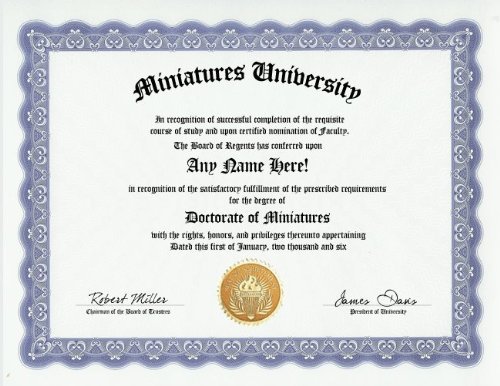 Amazon.com: Miniatures Collector Miniature Collecting Degree
