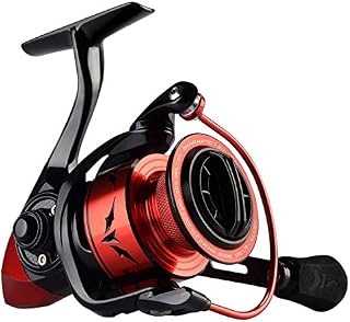 KastKing Speed Demon Spinning Reel,Size 3000