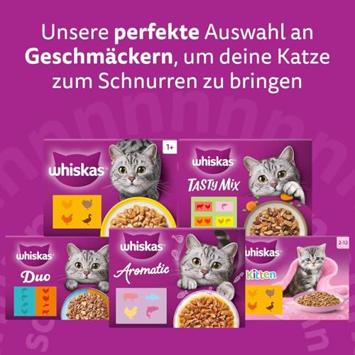Whiskas Adult 1+ Katzennassfutter Gemischte Auswahl in Gelee, 84 Portionsbeutel, 84x85g (1 Großpackung) – Hochwertiges Katzenfutter nass, für ausgewachsene Katzen