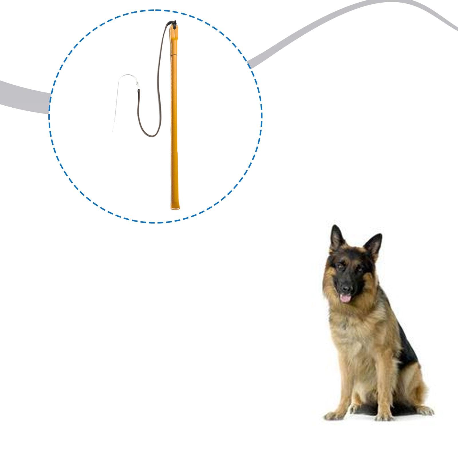 Harilla Látigo de adiestramiento canino para Entrenamiento de obediencia. Herramienta de Entrenamiento de Resistencia y Comportamiento. Varilla de disciplina