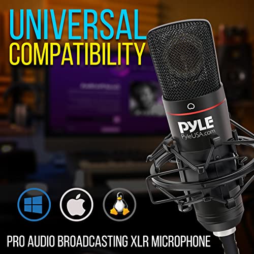 Pyle Large Diaphragm Cardioid Condenser Xlr Microphone Kit - Big Capsule 34Mm Pro Audio Mic - Audio Cardioid Condenser Studio Mic, Shock Mount, Travel Case, For Fat Vocals And Instrumentals #TOP6