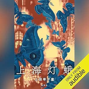  上海灯蛾 