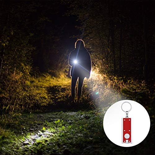 12 Pieces Mini LED Keychains Tiny Light Torch Flashlight Key Ring Dog Collar Light in Assorted Colors Portable Key Chain Flash Light for Camping Outdoor Equipment