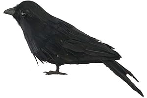 Fashionwu Realistic Crows for Halloween