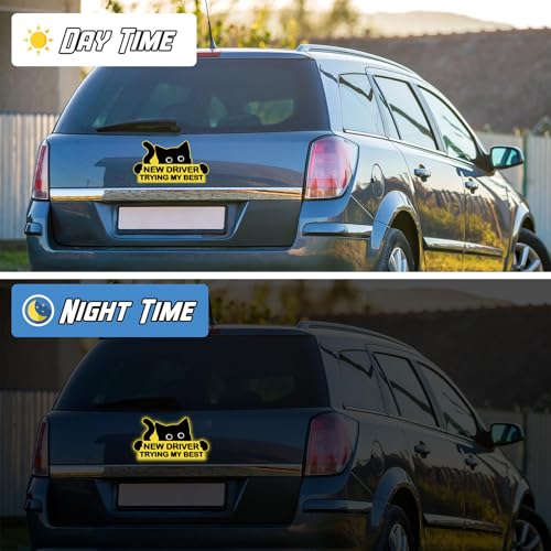 OuryTech Anfänger Schild Auto, 3 Stück Fahranfänger Aufkleber, Katzen Magnetschild Auto, Funny New Driver Magnet, Bitte Geduld, Sicherheitshinweise Für Fahranfänger, Geschenk Für Führerschein