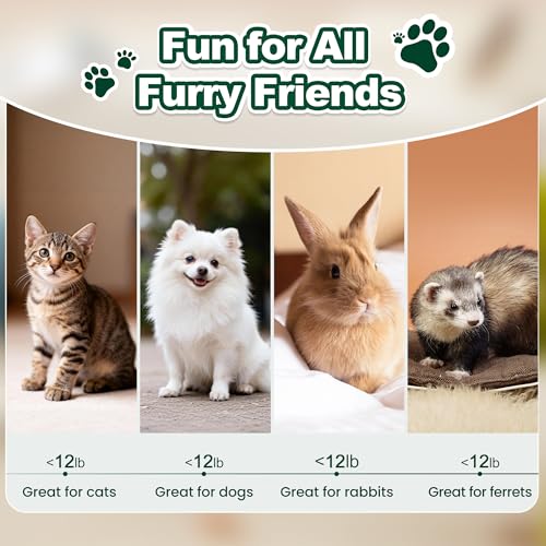 50% Off Love's Cabin 3-Way Cat Tunnel with Teaser Wand