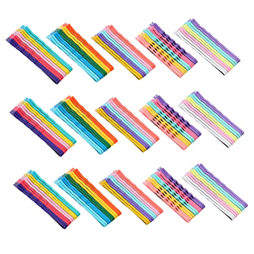 BIUDECO 100}JJ[wAs JtwANbv  lqp wAANZT[ ŌyʂȔ fC[wAAW