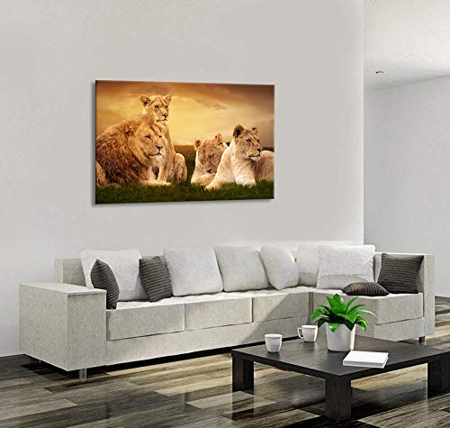 Kalawa Animal Family Pictures Canvas Wall Art For Home Decor Wild Lioness And Lion On The Prairie Prints And Posters Stretched And Wooden Framed Ready To Hang(28''W X 44''H) #TOP4