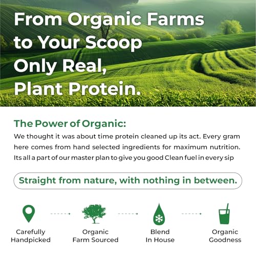 Image of Vlado's Himalayan Organics Organic protein Powder I Plant protein I 28G Protein , 5G BCAA I Made with 100% Organic Pea's I Clean & Vegan Protein I Lab Tested I Fast Absorbing, No Bloating, Easy to Digest | Faster Muscle Recovery I Unflavoured - 500 Grams
