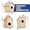 12 DIY Bird House Kits For Children to Build - Wood Birdhouse for Kids to Paint - Unfinished Bird Houses - Spring Crafts Kits - Wooden Arts & Craft for Girls & Boys - Classroom & Spring Activity #2
