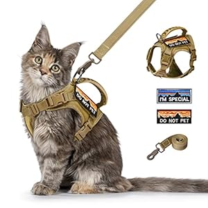 Tactical Cat Harness and Leash for Walking Esacpe Proof,Adjustable Soft Mesh Large Cat Vest with Rubber Handle Easy to Control,Molle Patches