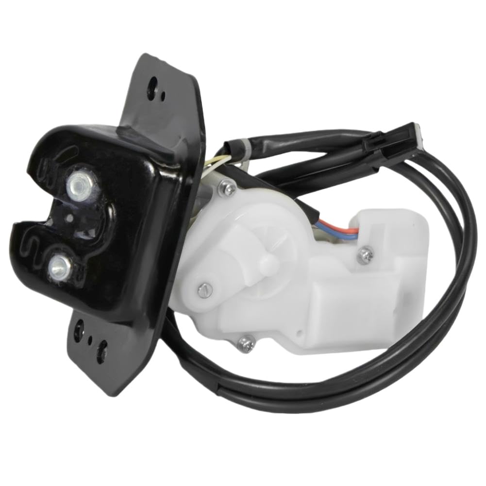 Hnznpwdgb Onecolor Tailgate Lock Assembly Compatible With Escape 1.5L 1.6L 2.0L L4 2013-2017 - Replaces Cj547843102ab 5281225