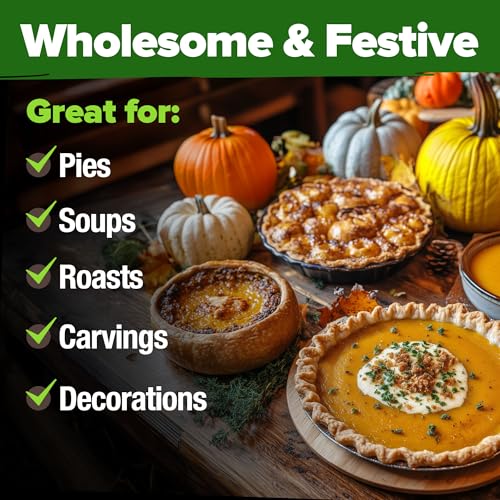 Image of HOME GROWN Pumpkin Seeds 5 Variety Mix 40+ Heirloom Non-GMO, High Germination, Connecticut Field, Blue, White & Mini Pumpkins,Edible & Jack O Lanterns,Autumn Harvest,Ornamental Garden (Cucurbita pepo)