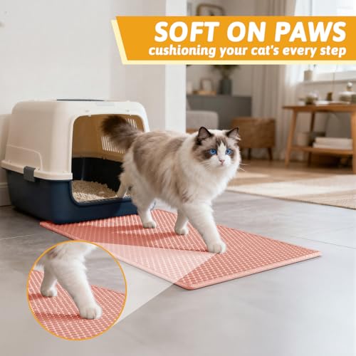 Image of Pieviev Cat Litter Mat Double Layer Waterproof Urine Proof Trapping Mat 1 Pack (Red, 24x15 Inch (Pack of 1))