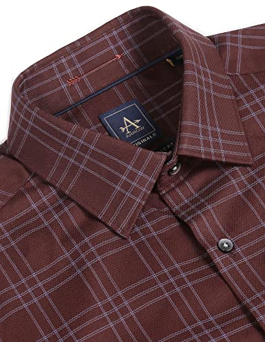 Image of Arrow Men's Regular Fit Button Down Shirt