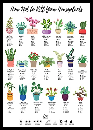 Póster How Not To Kill Your Houseplant, el regalo para amantes de la naturaleza
