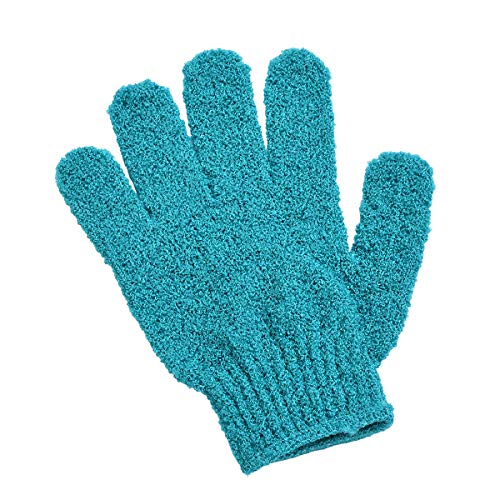 p C iC ܖ{w {fBEHbV A 1yA oX oXpi p ь CpO[u jp (_J[) ()