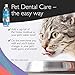 Emmy's Best EBPP Advanced Pet Dental Care Water Additive - Premium Cat & Dog Dental Care and Dog Breath Freshener - No Brush Formula Tartar & Plaque Remover for Dogs Teeth
