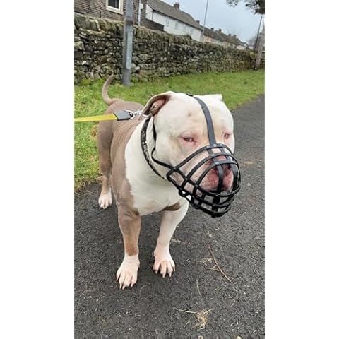 Biothane Dog Muzzle for XL Breeds Cover