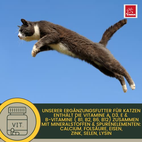 EMMA Katzen Vitamine Multivitamin 100 ml | Vitamin B Komplex mit B12 B6 B1 A D3 E | Mineralien Folsäure Eisen Zink Selen & L-Lysin | Immunsystem stärken, Fell & Stoffwechsel Katze