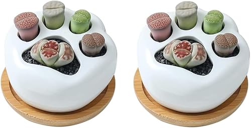 Primst Macetas de cerámica para suculentas con bandeja de bambú, macetas de interior con orificio de drenaje, maceta decorativa para oficina,