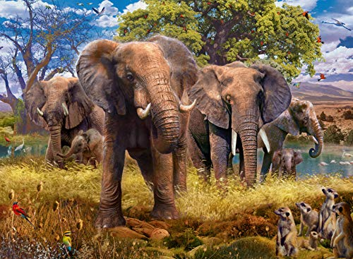 Ravensburger - Puzzle Famiglia di Elefanti, 500...
