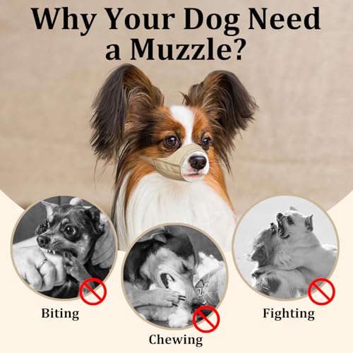 Mayerzon Maulkorb für Hunde mit kurzer Schnauze, Kleiner Maulkorb für Chihuahua, Shih Tzu, American Bully Boxer Welpen, weicher Stoff, Maulkörbe für Fellpflege, Tierarztbesuche, verhindert Beißen,