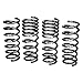 H&R 29989-2 - 1.3" x 1.3" Sport Front and Rear Lowering Coil Springs