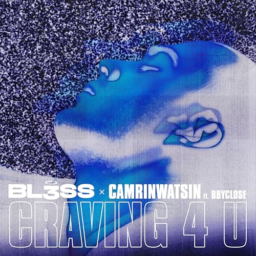 BL3SS & CamrinWatsin feat. bbyclose