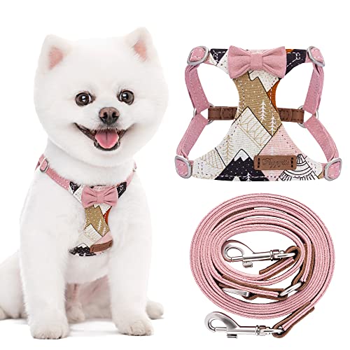 Raygen's Amazon Page