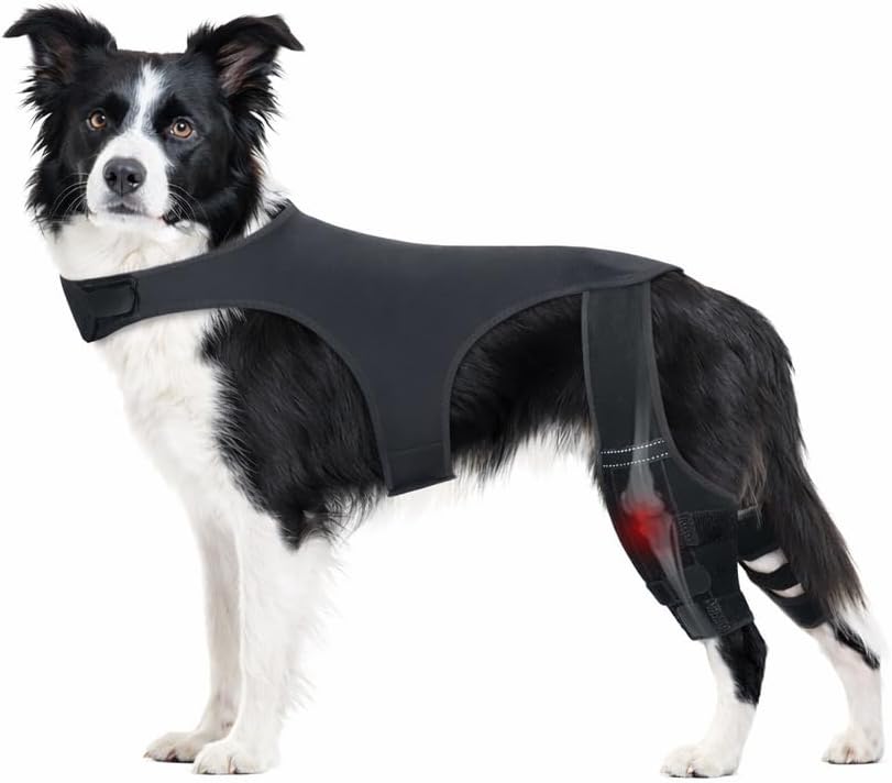 Dog Knee Brace for Back Leg with Anti-Slip Vest Harness, Adjustable Support for Torn ACL, Luxating Patella & Ligament Injuries (Medium)
