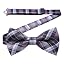 B1-purple Plaid