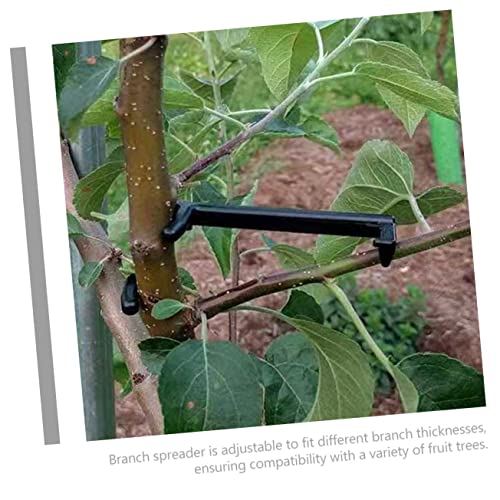 Herramienta para separar ramas de árboles frutales 100 piezas miniatura 2