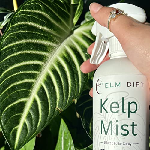Elm Dirt Fertilizante Líquido para Plantas 32oz miniatura 7