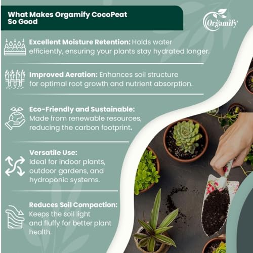 Image of Cocopeat Powder for Home Garden Plants 5 kg | Natural Coco Peat Soil Conditioner | Potting Mix for Indoor Outdoor Plants | Seed Starting Growing Medium | Water Retention Gardening