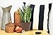 Costa Farms Sansevieria Grower's Choice Snake Live Indoor Plant, 12-Inches Tall, Grower Pot