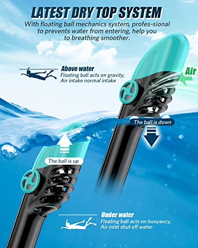 Qingsong Full Face Snorkel Mask For Adults & Kids, Snorkeling Gear With Camera Mount, Foldable 180 Degree Panoramic View Snorkeling Set Anti-Fog Anti-Leak #TOP4