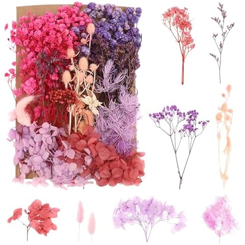 Natural Dried Flowers Craft Kit by Bolosa Cover