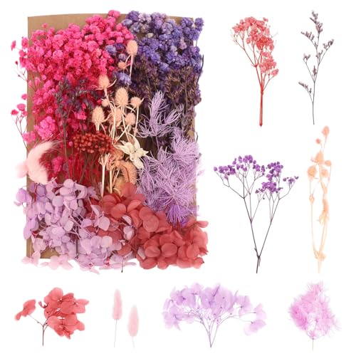 Natural Dried Flowers Real Dried Pressed Flowers Dry Leaves Kit, Dried Flowers for Crafts, Candle, Soap Making, Resin, Jewelry, Scrapbooking, Cards Making (Purple)
