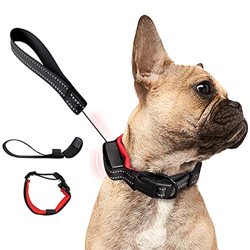 PJDDP Hundehalsband Mit Einziehbarer Hundeleine 2 in 1, Haustierhalsband Mit Schnellverschluss Reflektierende Verstellbares Hundetrainingshalsbänder Für Mittlere Und Kleine Hunde Walking/Wandern,M