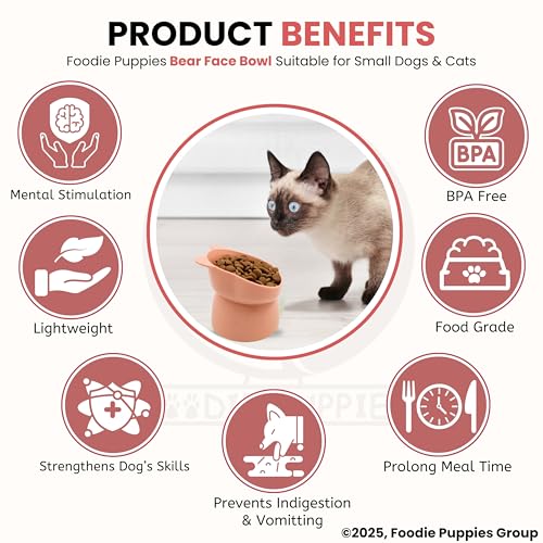 Image of Foodie Puppies Cat Tilted Food and Water Feeder (Bear Face Bowl, Pack of 2) | Durable, Anti Vomiting, Healthy Cat Bowl for Persian Cat Prevent Tipping Over | Elevated Feeder for Cats and Small Dogs