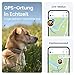 Tractive GPS Tracker Hund | 2025 Edition | Live-Ortung | Weglaufalarm | Aktivitätstracking | Gesundheitswarnungen | Bellverhalten | Empfohlen von Martin Rütter (Braun)