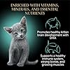 Sheba Perfect Portions Kitten Wet Cat Food Pate Chicken Entree, Salmon Entree, and Turkey Entree, 2.6 oz. Twin-Pack Trays (24 Count, 48 Servings) #4