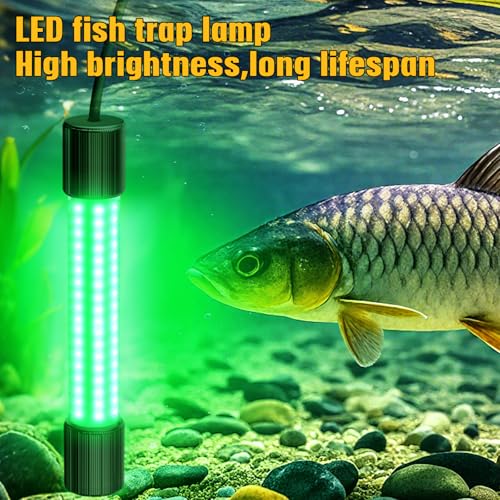 Lampe de pêche sous-marine verte pour attirer calmars et crappies