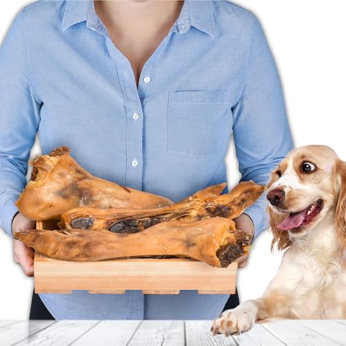 Piedi di maiale tagliati a metà, 1 kg, 3 pezzi, spuntino naturale per cani, snack gustoso, alta qualità