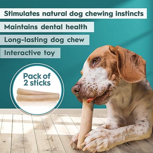 AmeizPet Coffee Tree Stick for Dog Chew Toy Coffee Tree Root Dogs Chew - Durable Dog Wooden Chewing Stick, S Size Pack of 2 - Image 3