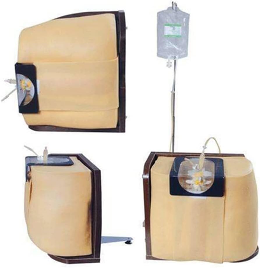 Training model for epidural, simulation model for lumbar puncture in adults, clinical training model for spinal and epidural anesthesia