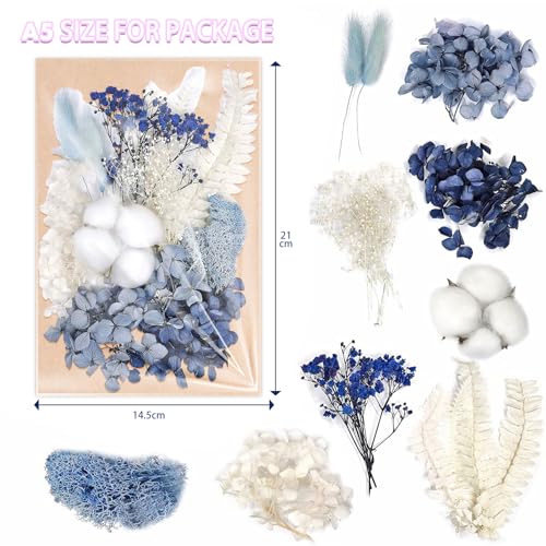 RTRTGS Natürliche Getrocknete Blumen, getrocknete hortensien, Trockenblumen Set, trockenblumen deko, für DIY Gepresste Blumen, Scrapbooking, DIY-Kerze, Schmuckanhänger Basteln