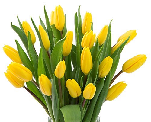 Image of KaBloom-20 Yellow Tulip Bouquet,Flowers for Valentine, Mother's Day